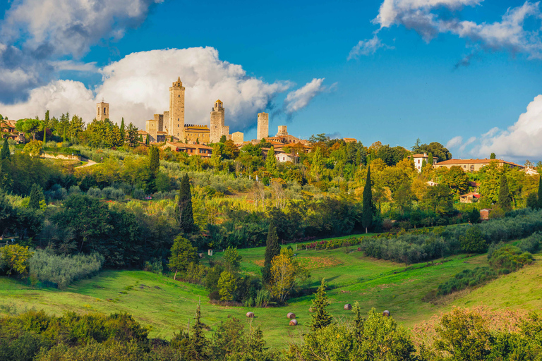 Vanuit Florence: dagtrip Pisa, Siena & San Gimignano + lunchEngels, Italiaans, Spaans volledige groep met lunch & Siena