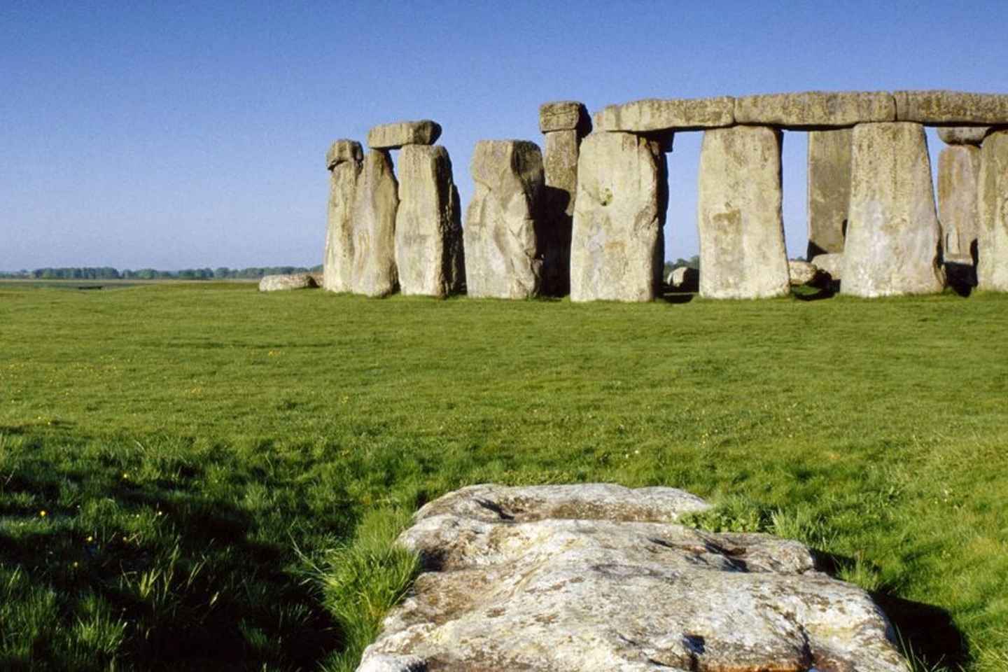Londres : Circuit en petit groupe Stonehenge, Glastonbury, Avebury
