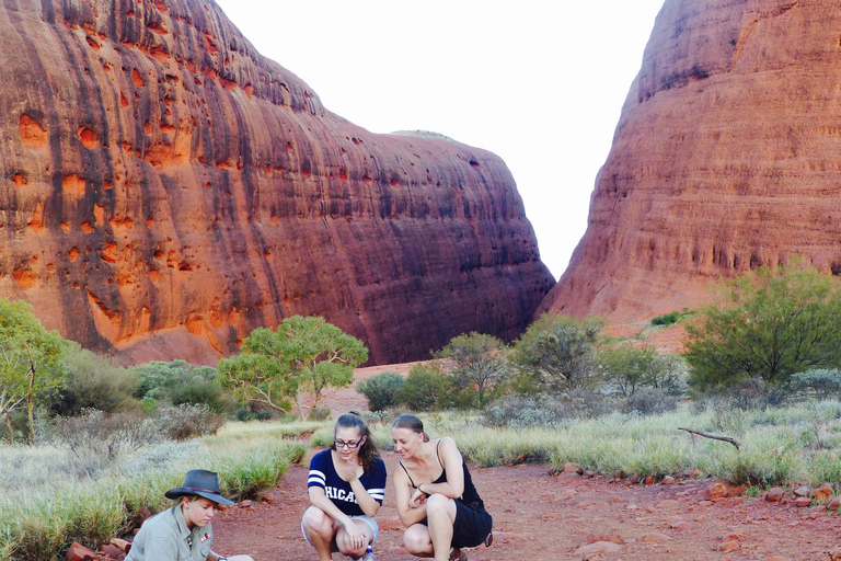 Från Yulara: 3-timmars Kata Tjuta-eftermiddagstur i liten gruppFrån Yulara: 3 timmars eftermiddagstur i liten grupp till Kata Tjuta