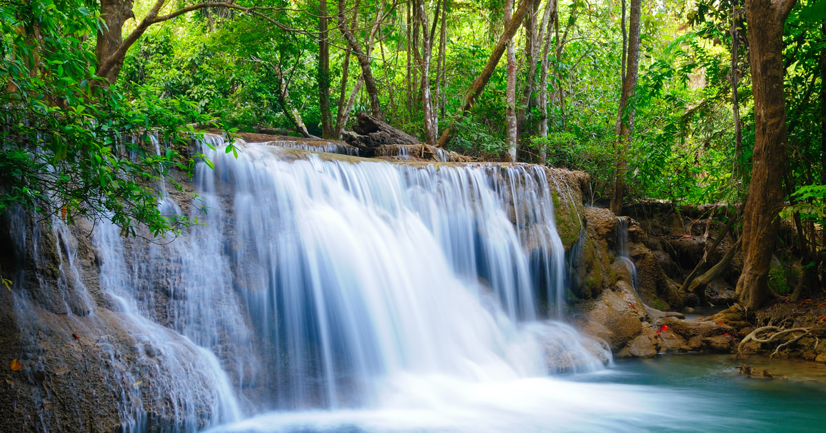 From Bangkok: Erawan Park & Elephant Feeding Private Tour | GetYourGuide