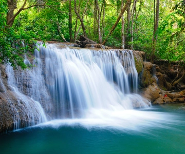 From Bangkok: Erawan Park & Elephant Feeding Private Tour