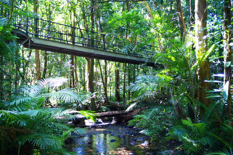 Excursão de 2 dias a Atherton Tablelands, Mossman Gorge e DaintreeAtherton Tablelands, Mossman Gorge e Daintree Tour