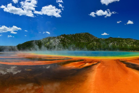 Grand Teton,Yellowstone National Park 3-Day Tour from SLC