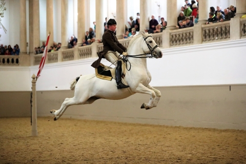 Performance Of The Lipizzans At Spanish Riding School Performance Ticket: Gallery 1 - Standing Area