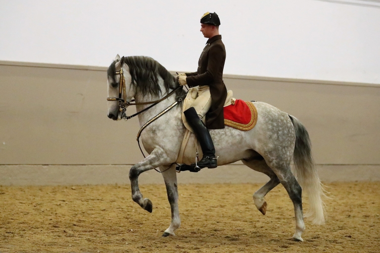 Gala koni lipicańskich w Hiszpańskiej Dworskiej Szkole JazdyPokaz galowy: miejsca stojące