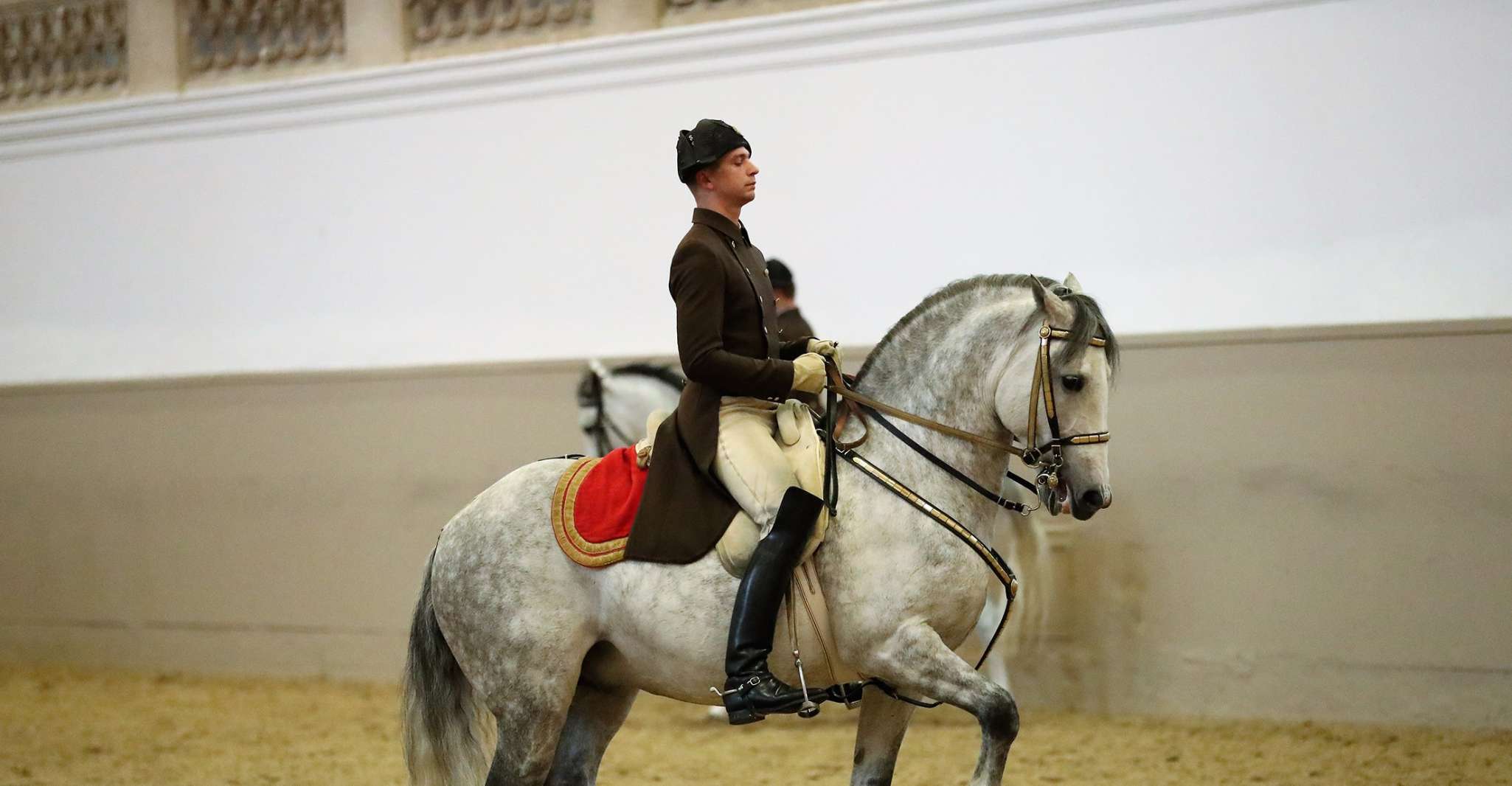 Performance Of The Lipizzans At Spanish Riding School - Housity