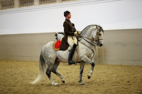 Escuela Española de Equitación: espectáculo de lipizzanosActuación de gala: asientos de la galería del primer piso