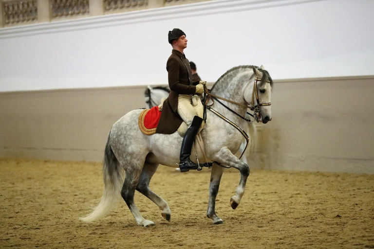 Gala koni lipicańskich w Hiszpańskiej Dworskiej Szkole JazdyBilet na pokaz: Galeria 1 – miejsca stojące