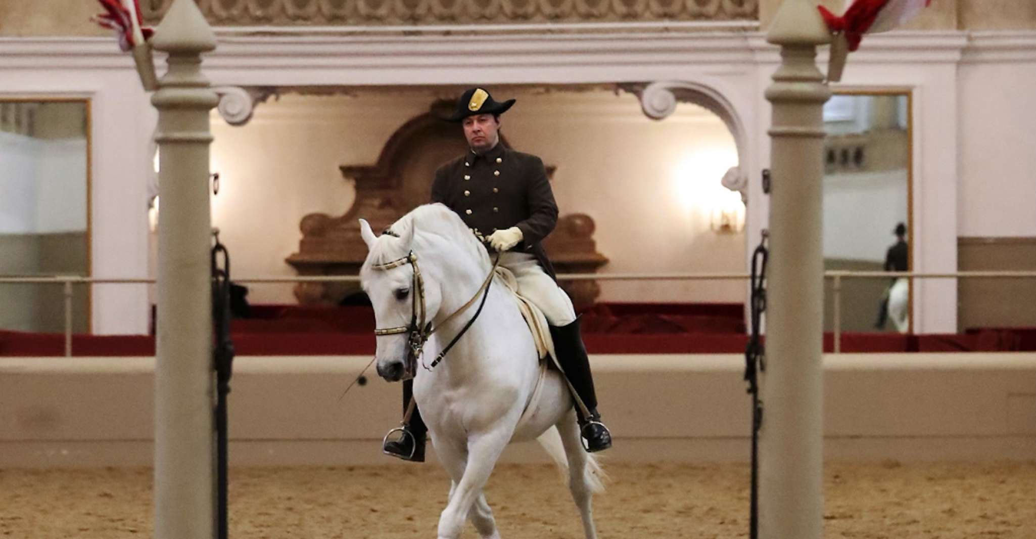 Performance Of The Lipizzans At Spanish Riding School - Housity