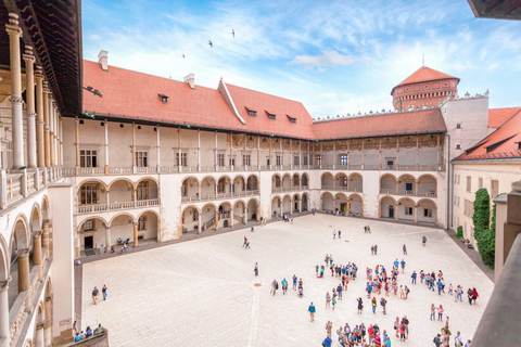 Tour privato &quot;Skip-the-Line&quot; delle camere del castello di Wawel2 ore: Stanze di Stato del Castello di Wawel