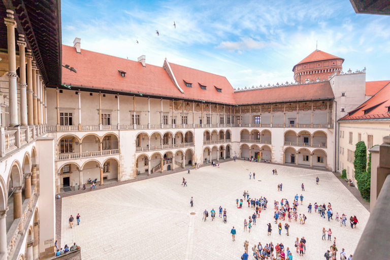 Kraków: Zamek na Wawelu z przewodnikiem bez kolejki2-godzinna wycieczka w j. ang., niem., pol. lub ros.