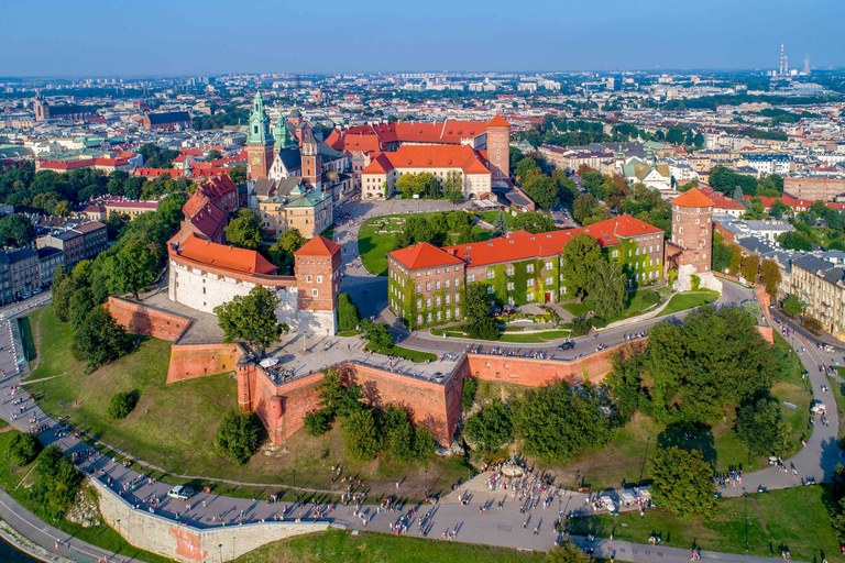 Kraków: Zamek na Wawelu z przewodnikiem bez kolejki2-godzinna wycieczka w j. ang., niem., pol. lub ros.