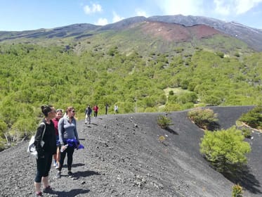 From Taormina: Half-Day Mount Etna Morning Trek