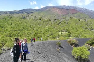 Au départ de Taormina : Randonnée matinale d'une demi-journée sur l'Etna