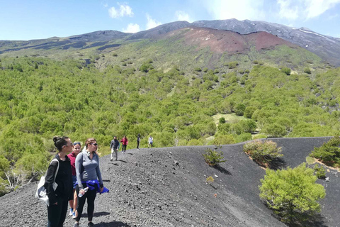 Ab Taormina: Morgendlicher Halbtags-Trek am Ätna