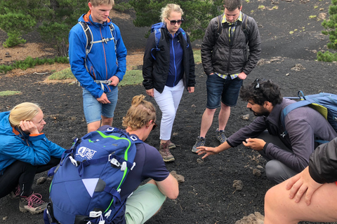 Vanuit Taormina: halfdaagse bergtrektocht op vulkaan Etna