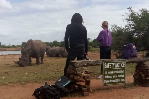 Hlane National Park, Safari TagestourTour auf Englisch oder Portugiesisch