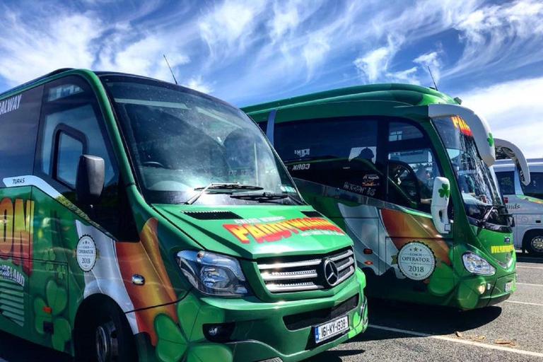 Cliffs of Moher and More: Full-Day Tour from Cork