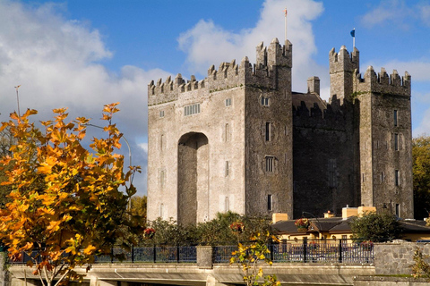 Cliffs of Moher and More: Full-Day Tour from Cork