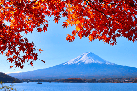Tokyo : Excursion d'une journée à la 5e station du Mont Fuji, dans la région du Fuji et à Kawaguchiko8:20 Rendez-vous au bureau de poste de Shinjuku