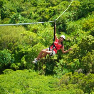 Kauai: Eco-Friendly 5 line Zipline Adventure in Poipu