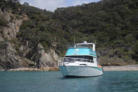 From Sandspit: Boat Cruise to Little Barrier Island
