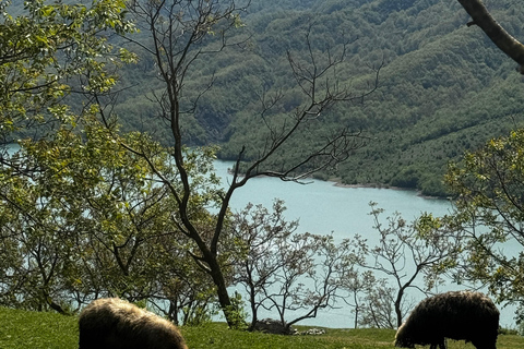 From Golem / Durres To Bovilla Lake & Gamti Mountain Tour