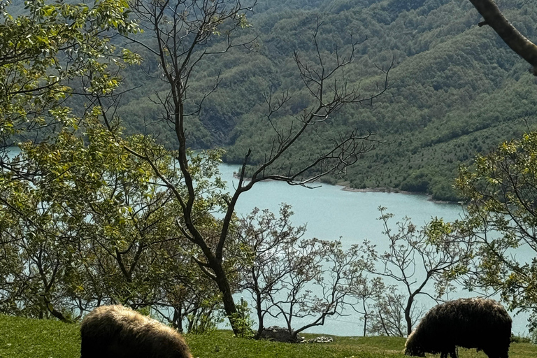 From Golem / Durres To Bovilla Lake & Gamti Mountain Tour