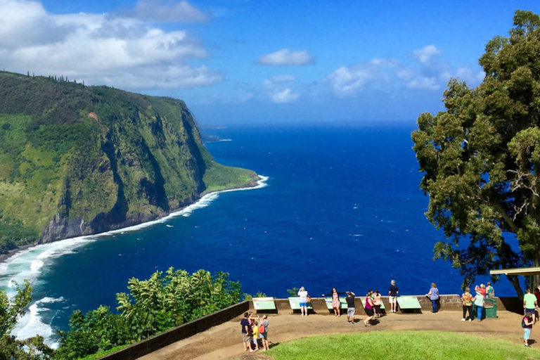 Big Island: tour de un día a volcanes, cascadas y cafetal