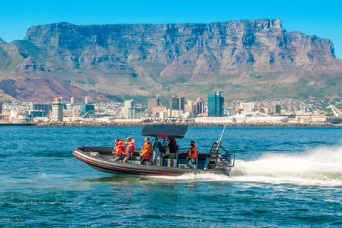 Cape Town Ocean Safari : Aventure en bateau rapide dans la baie de la Table