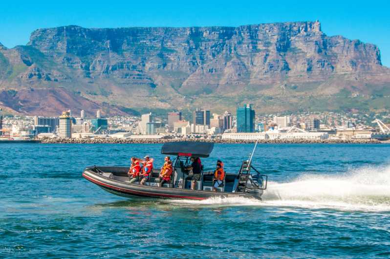 Cape Town Ocean Safari: Avantura gliserom u zaljevu Table