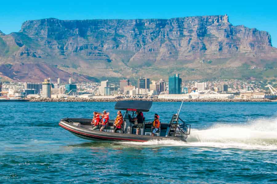 Kapstadt Ocean Safari: Schnellboot-Abenteuer in der Tafelbucht. Foto: GetYourGuide