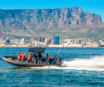 Cape Town Ocean Safari: Speed Boat Adventure in Table Bay