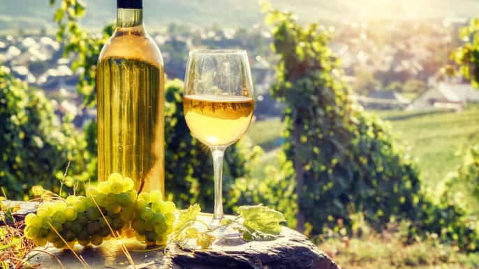 from bucharest romanian wine tasting tour