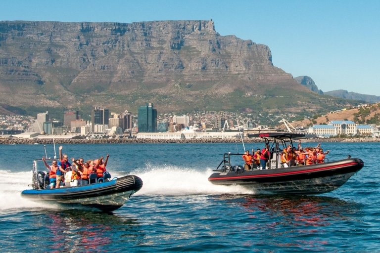 Kapstadt: Speedboot-Abenteuer in der Tafelbucht1-stündige Tour