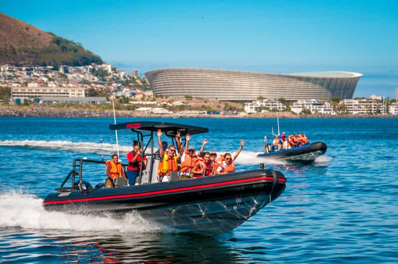 cape town ocean safari