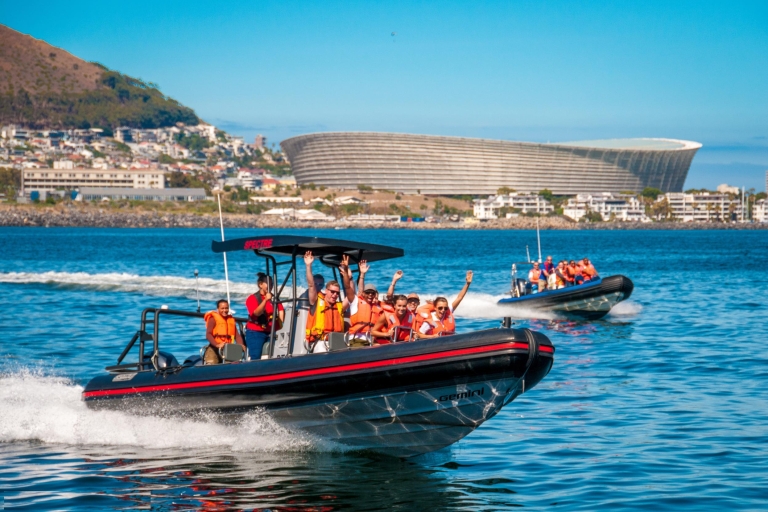 Cape Town Ocean Safari: Aventura en lancha rápida en Table BayTour de 1 hora