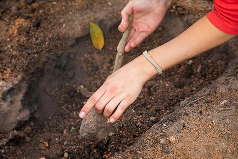 2 Day Rwanda Cultural Tour Where Waste Becomes Hope