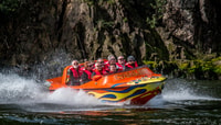 Cambridge, Waikato River 45-Minute Extreme Jet Boat Ride - Housity