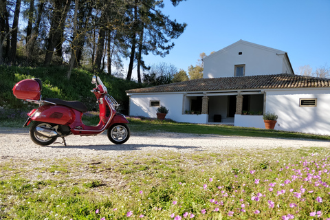 Corfu: Half-Day Scooter Tour with Wine & Olive Oil Tasting Vespa Scooter - 1 Person/Vespa (Motorcycle License Required)