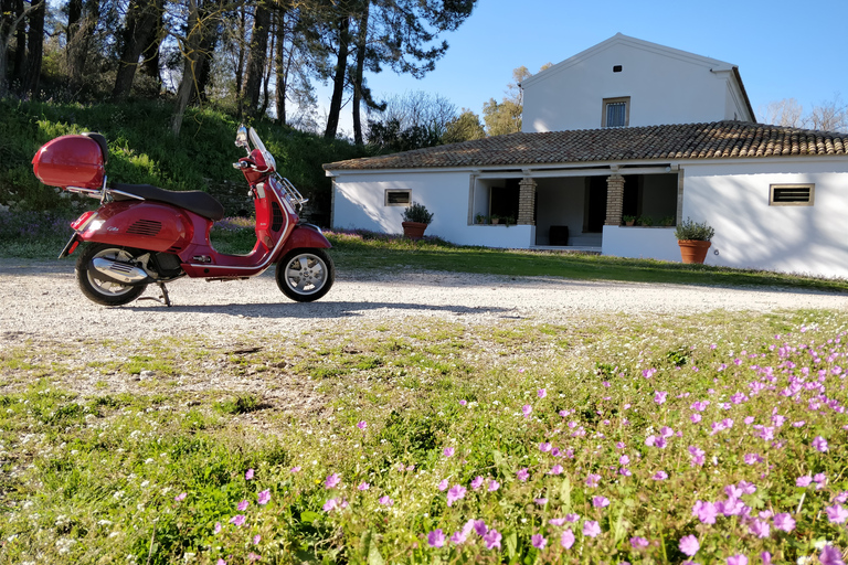 Corfu: Half-Day Scooter Tour with Wine & Olive Oil Tasting Vespa Scooter - 1 Person/Vespa (Motorcycle License Required)