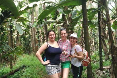 Panaji: Privat-Tour Gewürzplantage und Velha Goa
