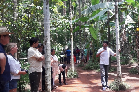 Panaji: plantación privada de especias y recorrido por la ciudad vieja de Goa