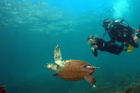 búzios experiencia de buceo para principiantes