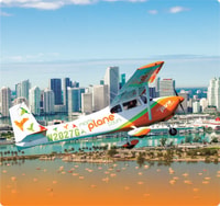 Famosa experiencia en el volante de Miami Beach - Housity