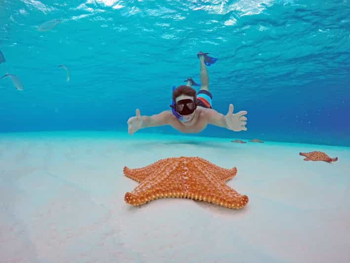 From Cancun and Riviera Maya: Cozumel Snorkeling Tour | GetYourGuide