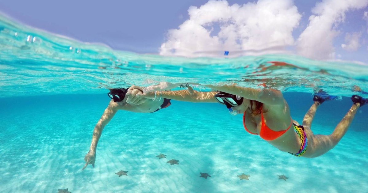 From Cancun and Riviera Maya: Cozumel Snorkeling Tour | GetYourGuide