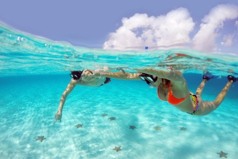 De Cancun et de la Riviera Maya: visite de plongée en apnée à Cozumel