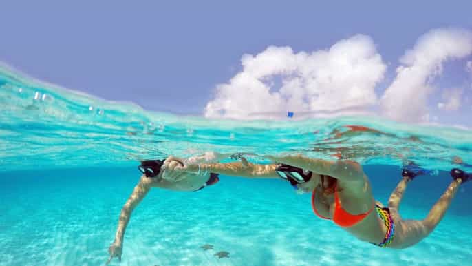 from cancun and riviera maya cozumel snorkeling tour
