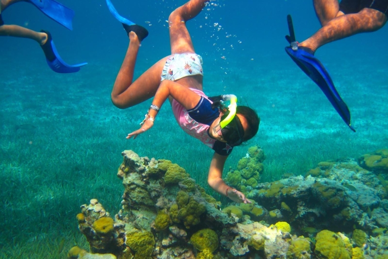 Z Cancun i Riviera Maya: Cozumel Snorkeling Tour